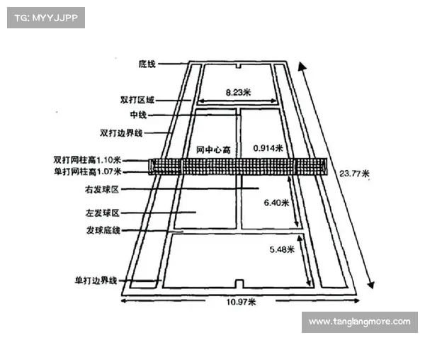 网球比赛规则的演变与变革 网球比赛规则的演变与变革